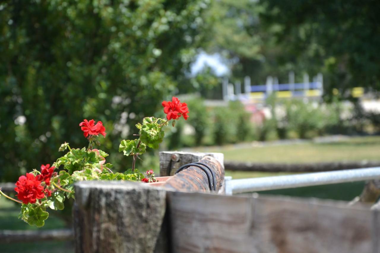 Gite Au Haras Les Aubiers Екстер'єр фото